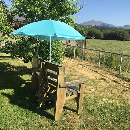 Tyddyn Perthi Farm Villa Llanberis Buitenkant foto